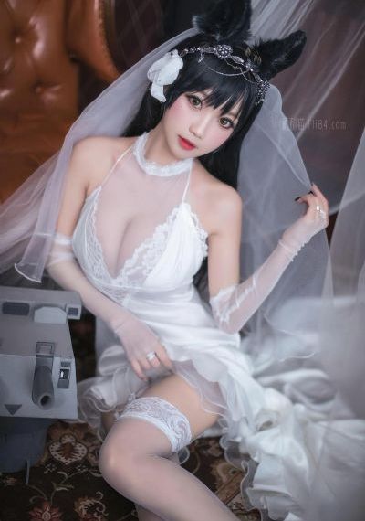动物管理局_高清电影完整版